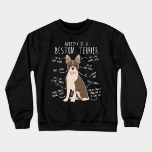 Brindle Boston Terrier Dog Anatomy Crewneck Sweatshirt